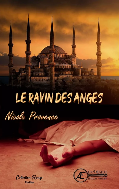 Le ravin des anges - Nicole Provence - Ex Aequo