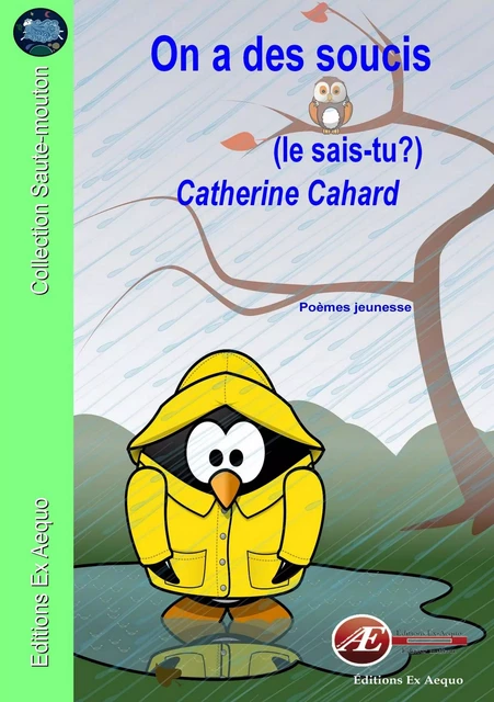 On a des soucis - Catherine Cahard - Ex Aequo