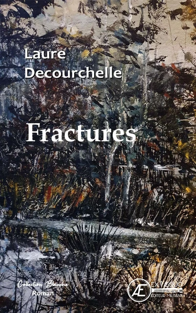 Fractures - Laure Decourchelle - Ex Aequo