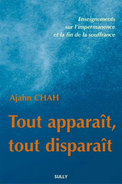 Tout apparaît, tout disparaît - Ajahn Chah - Sully