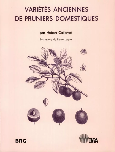 Variétés anciennes de pruniers domestiques - Hubert Caillavet - Quae