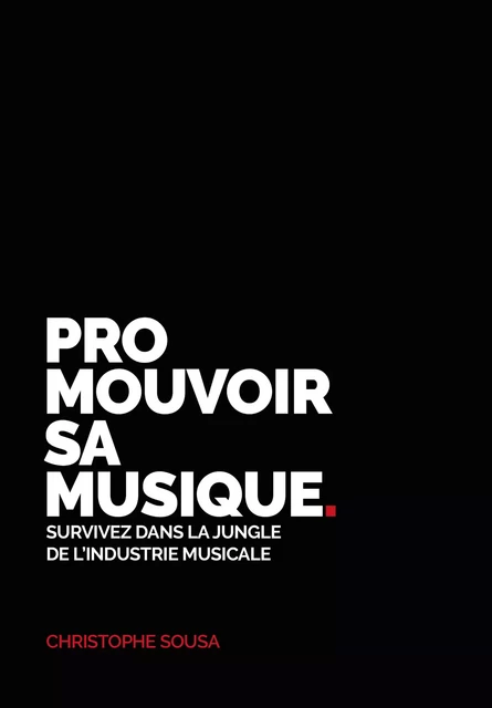 Promouvoir sa musique - Christophe Sousa - Publishroom