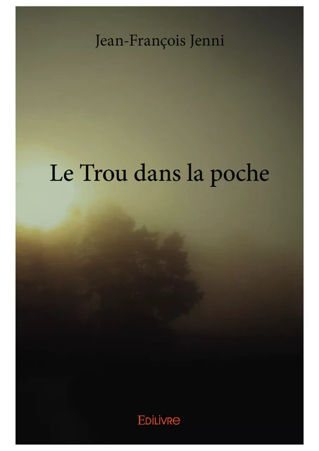 Le Trou dans la poche - Jean-François Jenni - Editions Edilivre