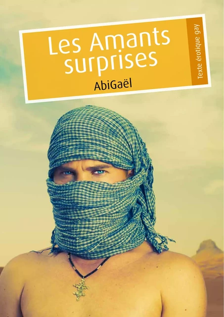 Les Amants surprises -  AbiGaël - Éditions Textes Gais