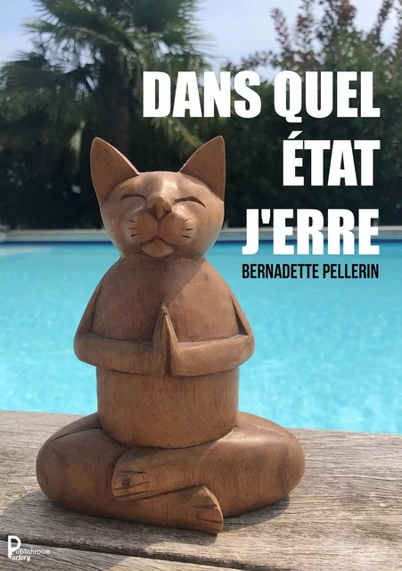 Dans quel état j'erre ? - Bernadette Pellerin - Publishroom