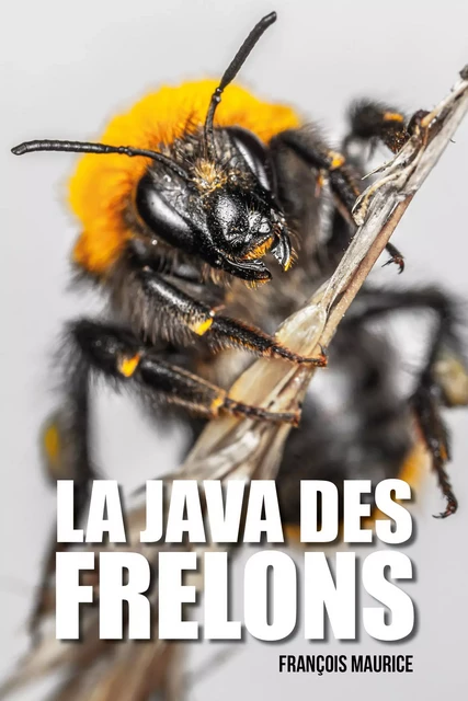 La java des frelons - François Maurice - Publishroom