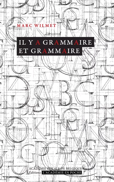 Il y a grammaire et grammaire - Marc Wilmet - Académie royale de Belgique