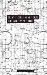 Il y a grammaire et grammaire