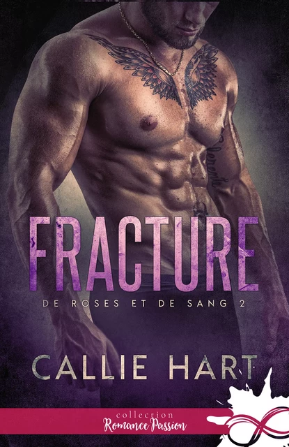 Fracture - Callie Hart - Collection Infinity