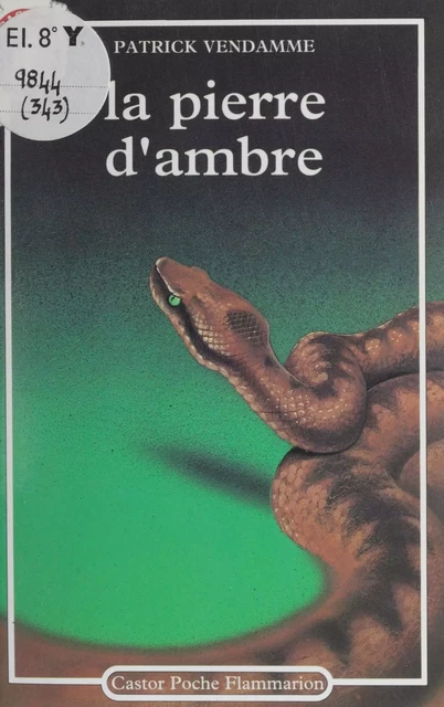 La Pierre d'ambre - Patrick Vendamme - Flammarion Jeunesse (réédition numérique FeniXX) 