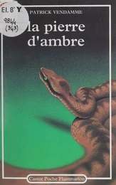 La Pierre d'ambre