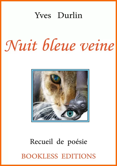 Nuit bleue veine - Yves Durlin - Bookless-editions