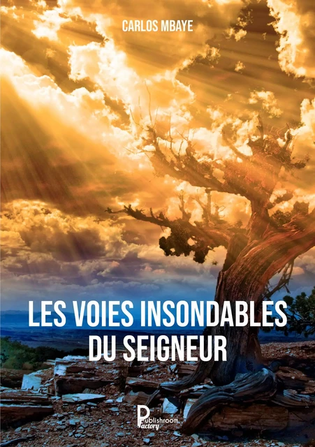 Les voies insondables du Seigneur - Carlos Mbaye - Publishroom