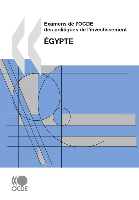 Examens de l'OCDE des politiques de l'investissement : Égypte 2007 -  Collectif - OECD