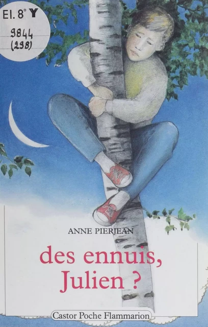 Des Ennuis, Julien ? - Anne Pierjean - Flammarion Jeunesse (réédition numérique FeniXX) 