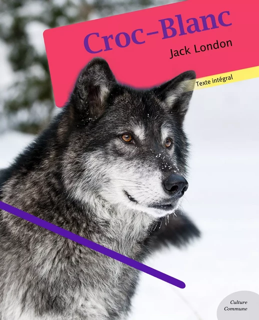 Croc-Blanc - Jack London - Culture commune