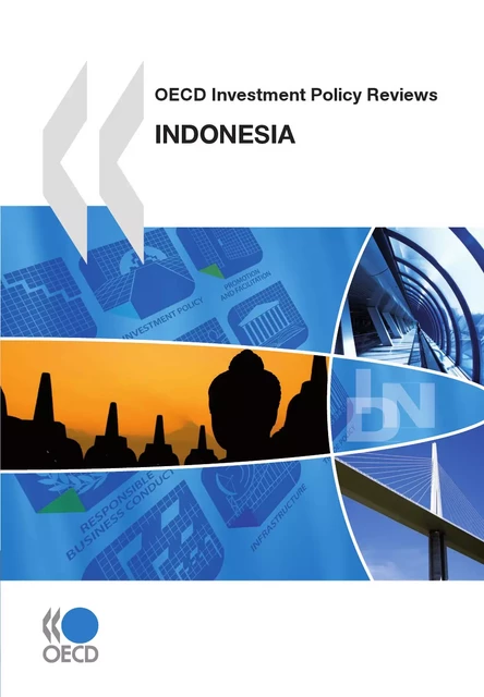 OECD Investment Policy Reviews: Indonesia 2010 -  Collective - OECD