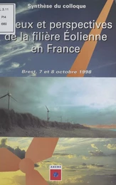 Enjeux et perspectives de la filière éolienne en France