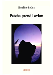 Patcha prend l'avion