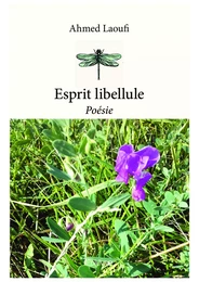 Esprit libellule