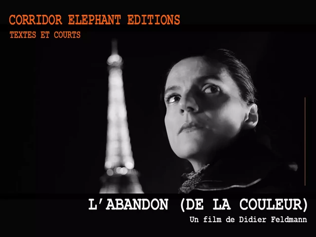 L'abandon (de la couleur) - Didier Feldmann - Corridor Elephant