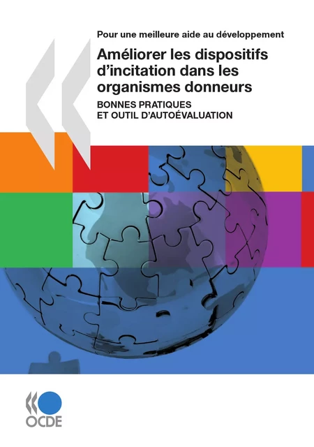 Améliorer les dispositifs d’incitation dans les organismes donneurs (Première édition) -  Collectif - OECD