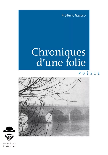 Chroniques d'une folie - Frédéric Gayoso - Société des écrivains