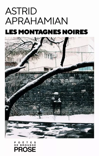 Les montagnes noires - Astrid Aprahamian - Poètes de brousse