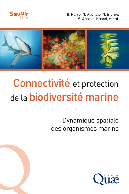 Connectivité et protection de la biodiversité marine - Barbara Porro, Neil Alloncle, Nicolas Bierne, Sophie Arnaud-Haon - Quae