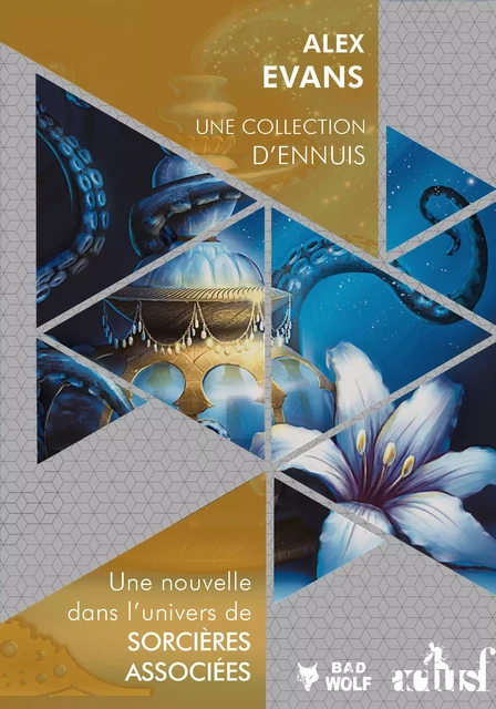 Une collection d'ennuis - Alex Evans - Nouvelles Éditions Actu SF