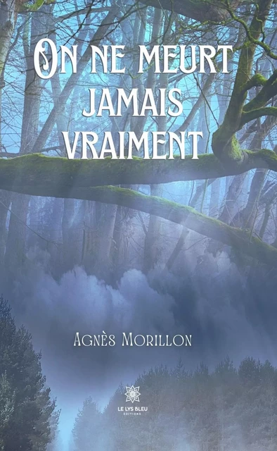 On ne meurt jamais vraiment - Agnès Morillon - Le Lys Bleu Éditions