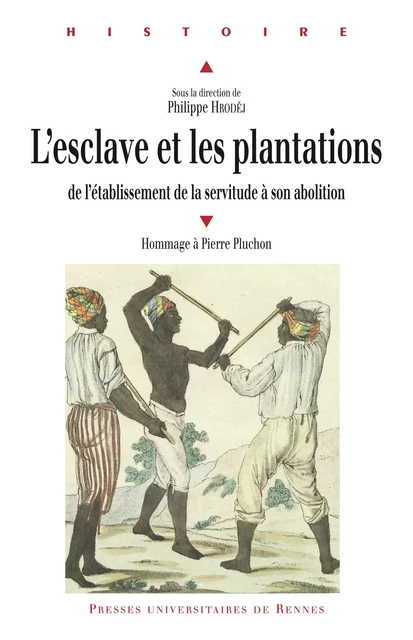 L'esclave et les plantations -  - Presses universitaires de Rennes