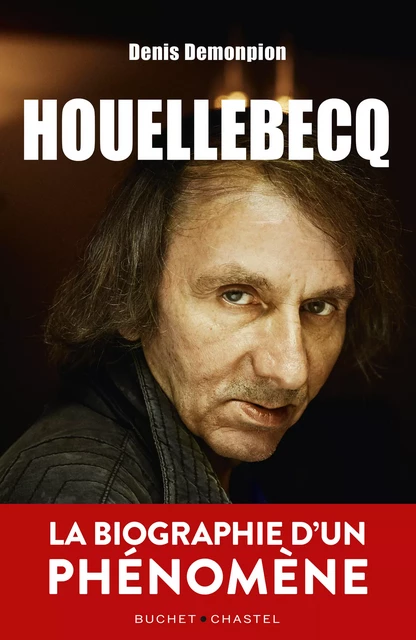 Houellebecq - Mireille Dumas, Denis Demonpion - Libella