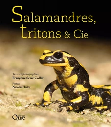 Salamandres, tritons & Cie