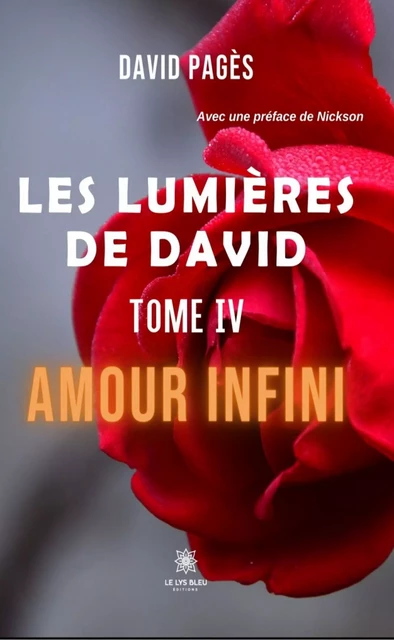 Les lumières de David - Tome 4 - David Pagès - Le Lys Bleu Éditions