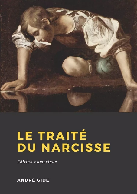 Le Traité du Narcisse - André Gide - Librofilio