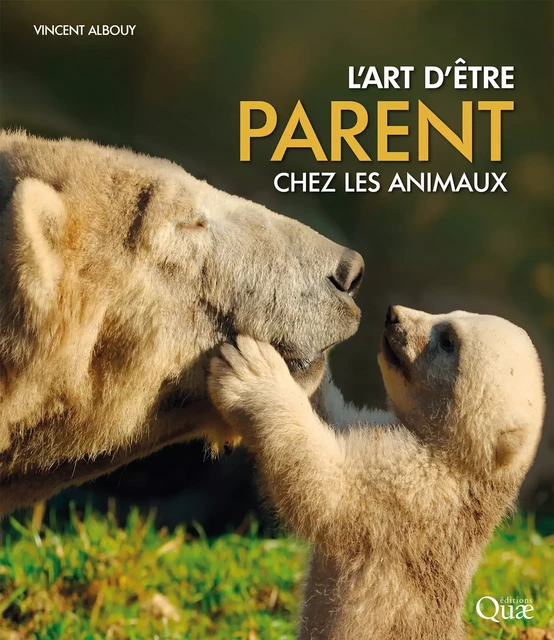 L'art d'être parent chez les animaux - Vincent Albouy - Quae