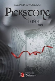 Pickstone - Tome 2