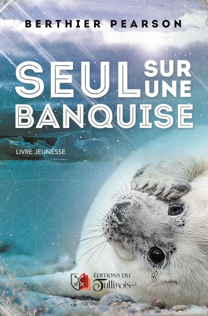 Seul sur une banquise - Berthier Pearson - Tullinois