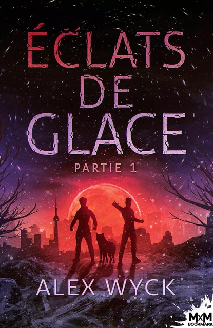 Éclats de glace - Partie 1 - Alex Wyck - MxM Bookmark