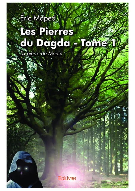 Les Pierres du Dagda - Tome 1 - Éric Maped - Editions Edilivre