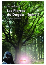 Les Pierres du Dagda - Tome 1