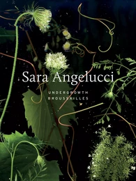 Sara Angelucci: Undergrowth / Broussailles