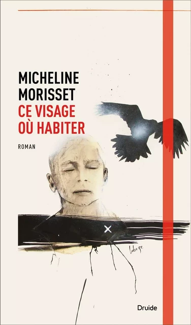 Ce visage où habiter - Micheline Morisset - Éditions Druide