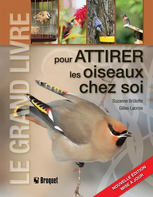 Le grand livre pour attirer les oiseaux chez soi - Suzanne Brûlotte, Gilles Lacroix - Broquet