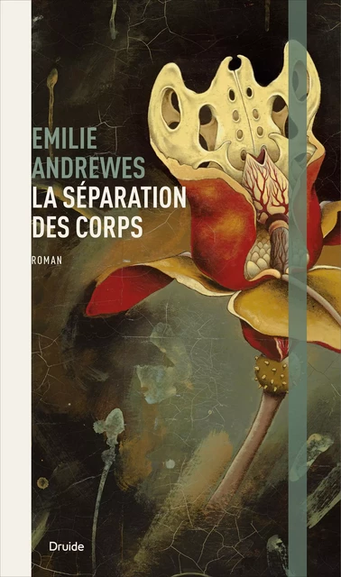 La séparation des corps - Emilie Andrewes - Éditions Druide