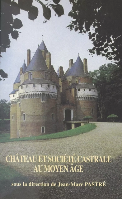 Château et société castrale au Moyen Âge -  - FeniXX réédition numérique