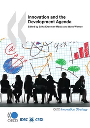 Innovation and the Development Agenda