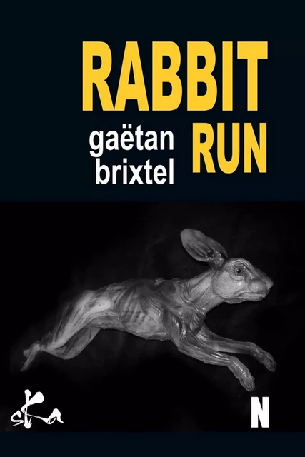 Rabbit Run - Gaëtan Brixtel - SKA