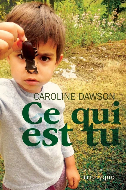 Ce qui est tu - Caroline Dawson - Groupe Nota bene